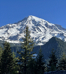 A snow and glacial covered mountain on a clear blue day with green trees in the foreground