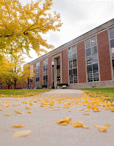 An academic building shown from a sidewalk in the autumn, with yellow leaves falling from trees on the ground