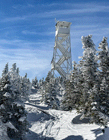 Lyon Mountain Fire Tower (1,160 m), Adirondack Mountains, NY, Rime-coated spruce frame a late-Fall ascent toward the steel tower, standing above the snow-packed trail under clear November skies (Photo Credit: Krystyna Stewart).